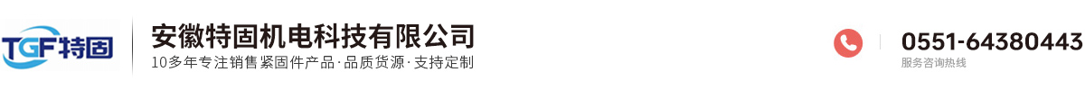 安徽特固機(jī)電科技有限公司